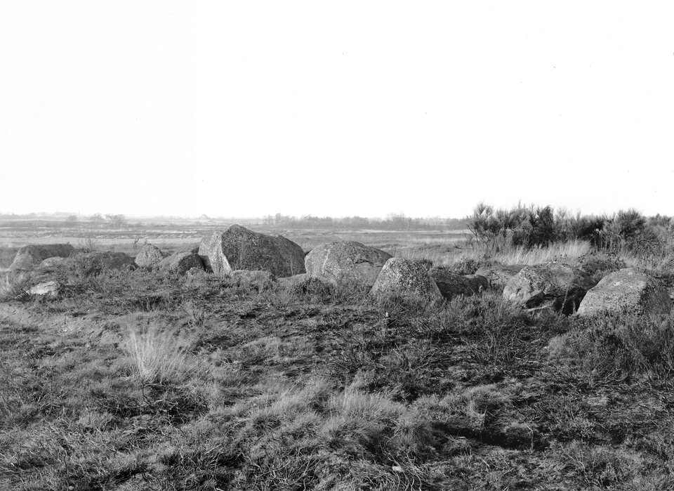 De inventarisatie van 1918: de dekstenen liggen van hun draagstenen af en het hele graf gaat bijna op in de heide van de Ballooër es. Plaat 34 uit Van Giffens De hunebedden in Nederland.