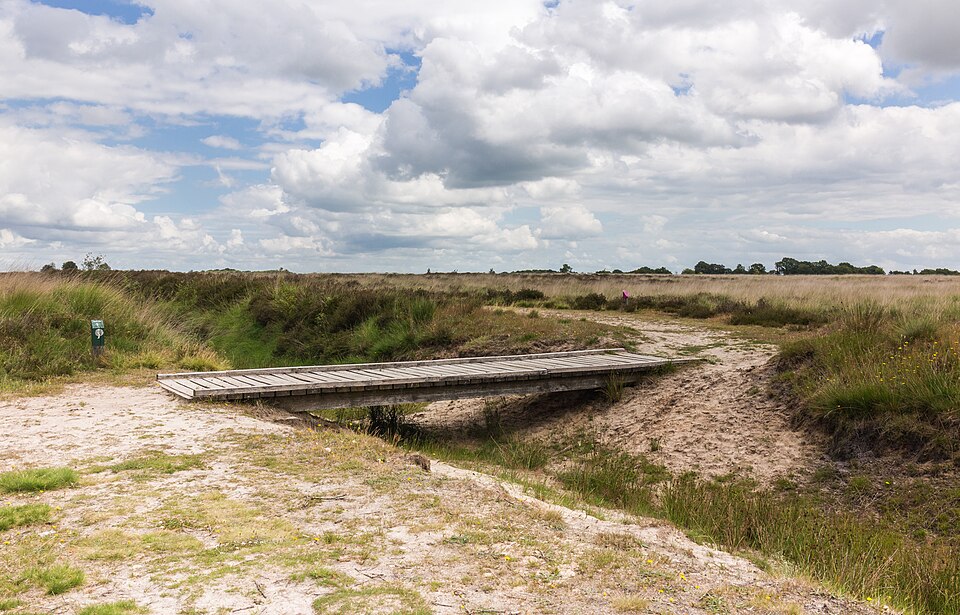 Antitankgracht en loopgraven van de Frieslandriegel