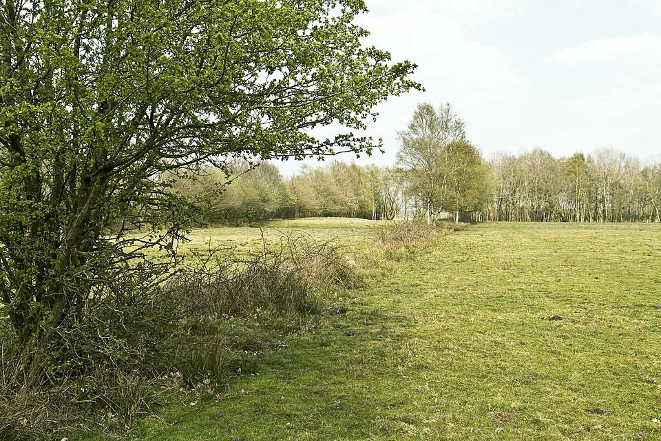 Het Kienveen, en het grafveld dat de ploeg half opat
